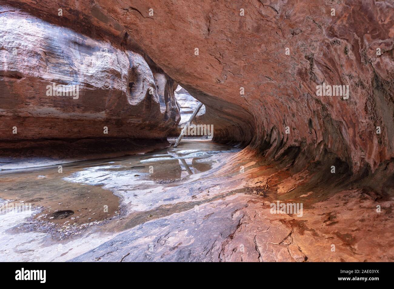 Zion U-Bahn Tunnel Wanderung im Zion National Park, Utah Stockfoto