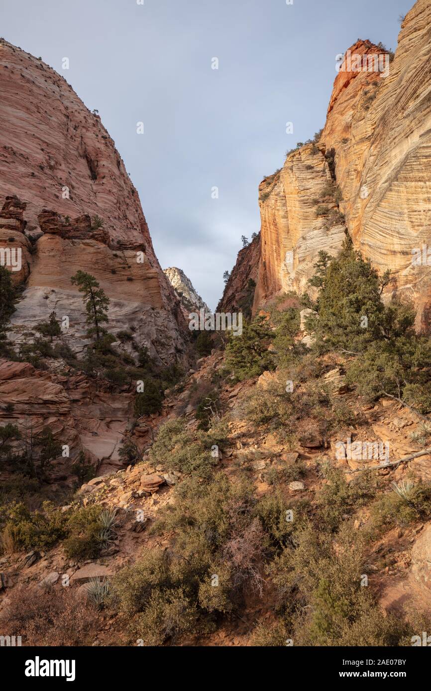 Zion National Park Blick von der Fahrbahn Stockfoto