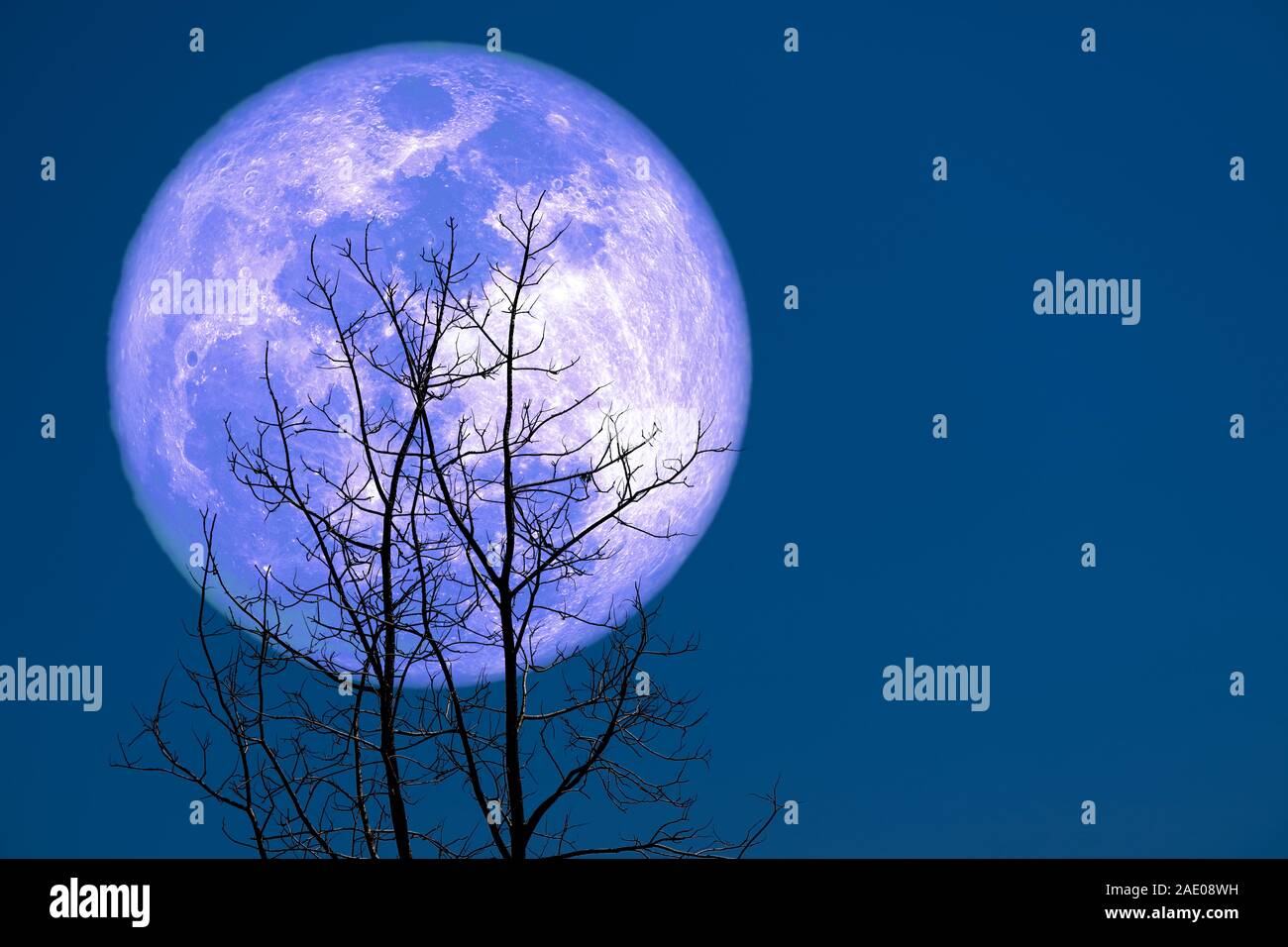 Mais, der mond pflanzt Fotos und Bildmaterial in hoher Auflösung Alamy