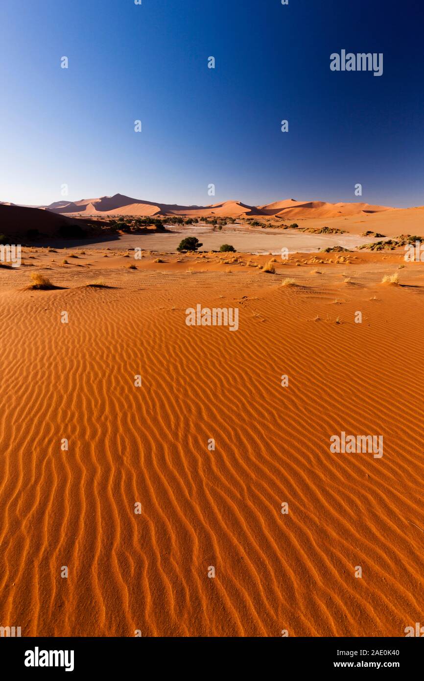 Tote See- und Dünenberge, Winde, Sossusvlei, Namib-Wüste, Namib-Naukluft-Nationalpark, Namibia, Südafrika, Afrika Stockfoto