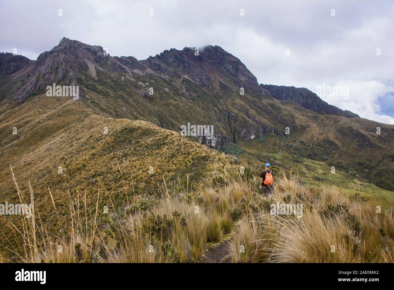 Trekking in Rumiñahui Vulkans Cotopaxi Nationalpark, Ecuador Stockfoto