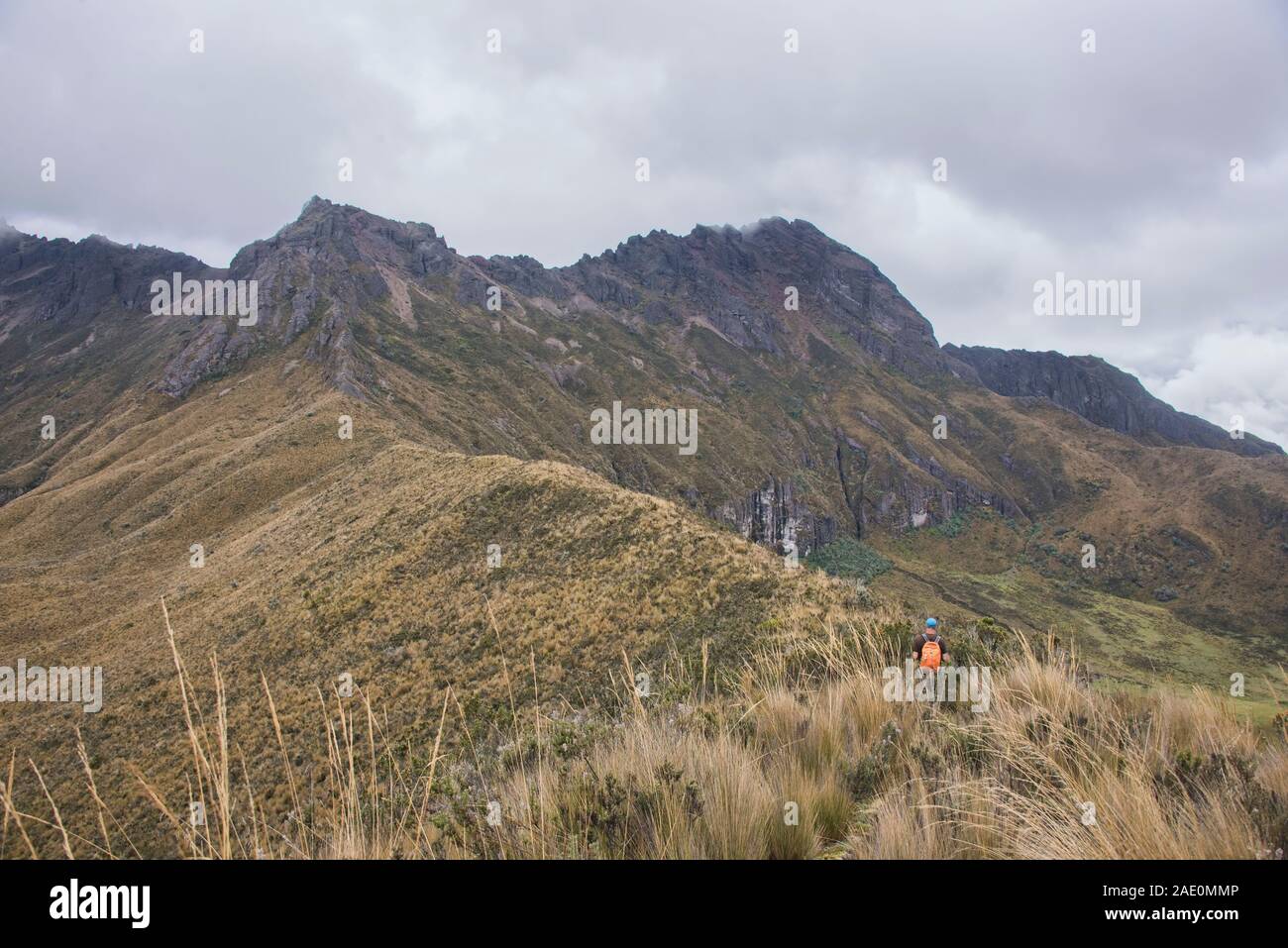 Trekking in Rumiñahui Vulkans Cotopaxi Nationalpark, Ecuador Stockfoto