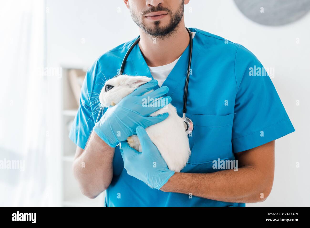 7/8-Ansicht von jungen Tierarzt Holding cute White Rabbit auf Händen Stockfoto