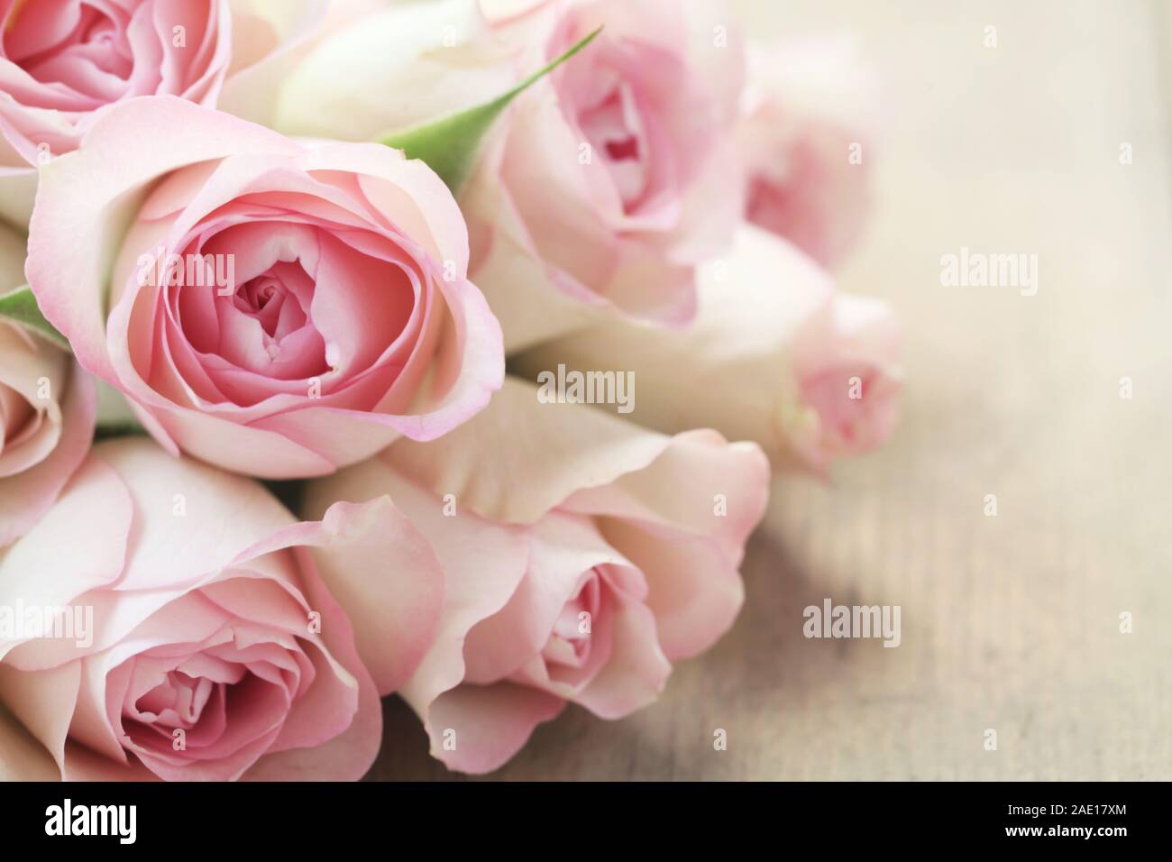 Rosen auf einem hölzernen Hintergrund Stockfoto