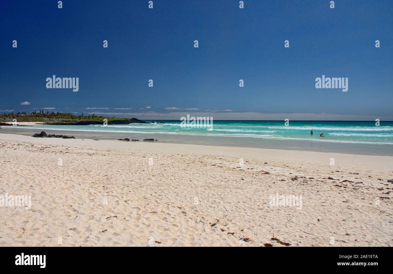 Schönen Tortuga Bay, Isla Santa Cruz, Galapagos, Ecuador Stockfoto