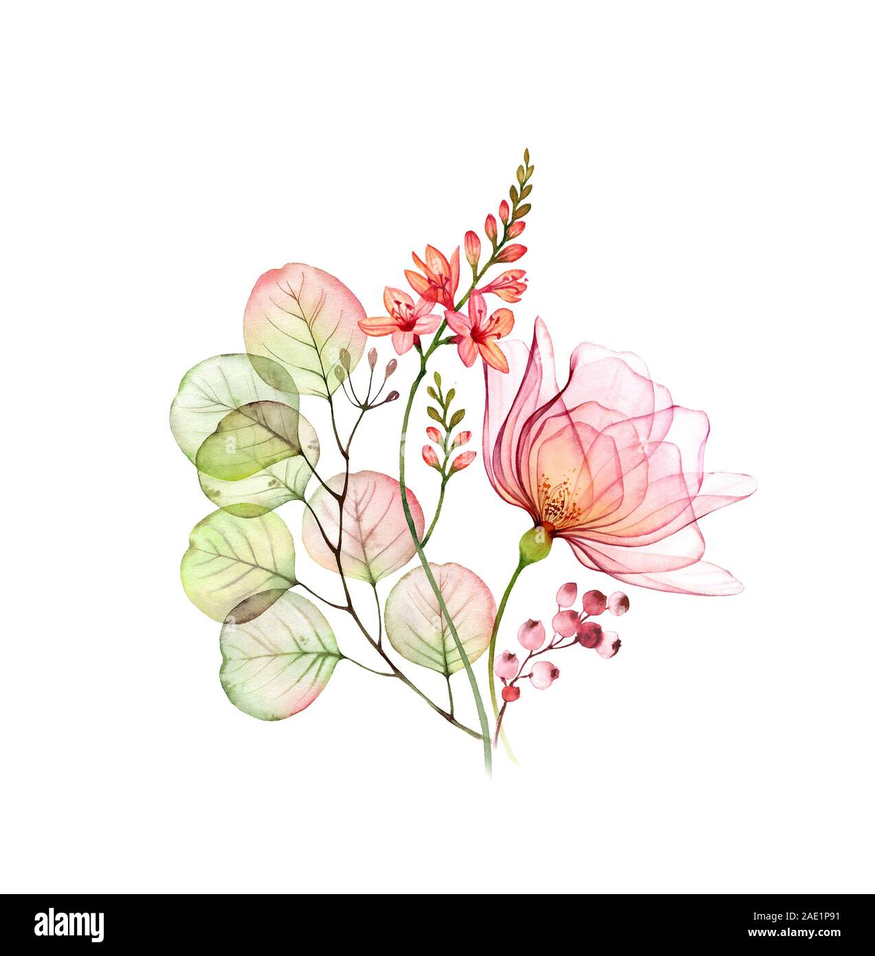 Transparente Rose Bouquet mit Eukalyptus- und Freesie Blumen. Aquarell florale Komposition auf Weiß isoliert. Botanical Hand gemalte Illustration für Stockfoto