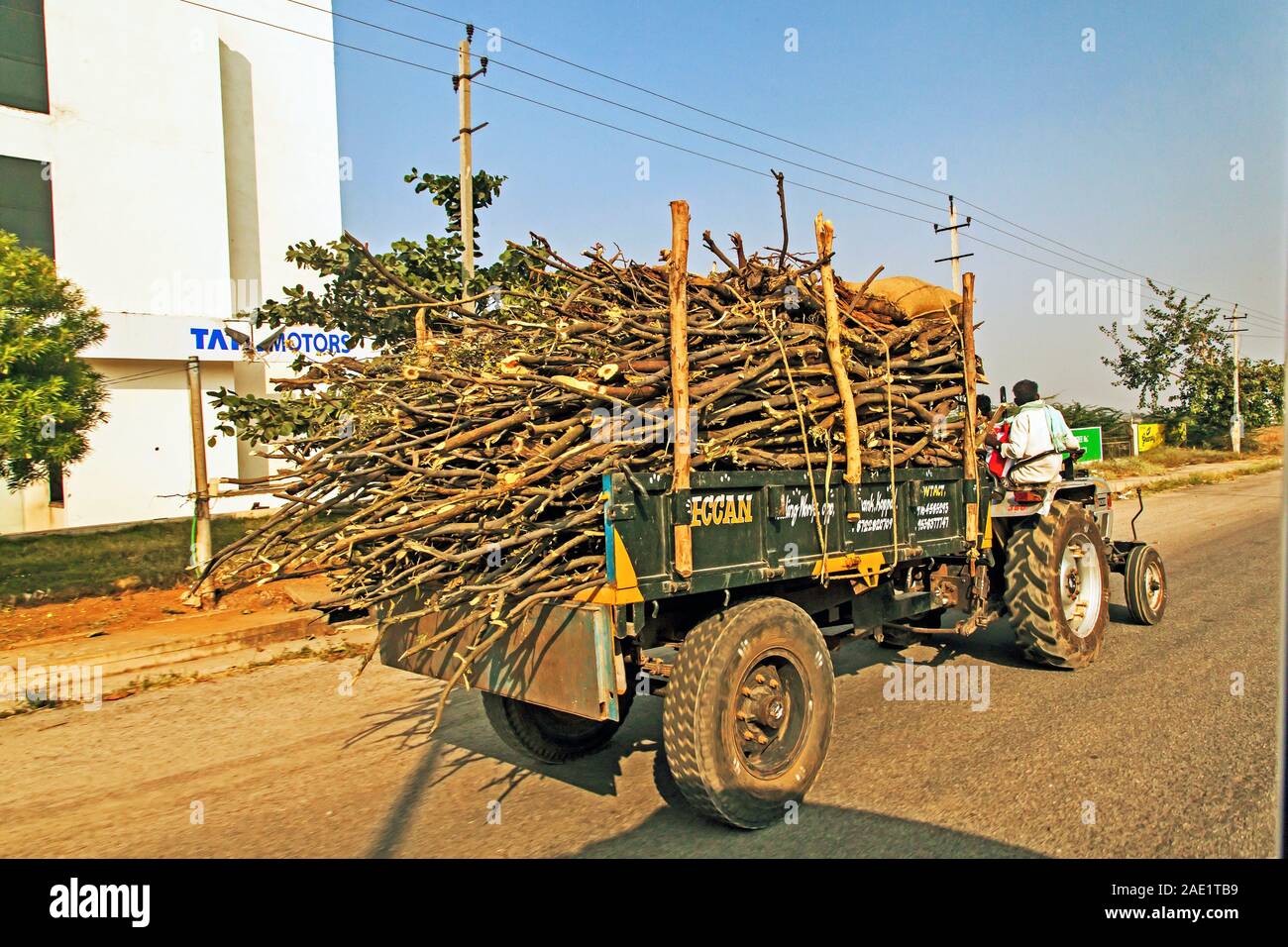 Sattelzugwagen mit Zweigen beladen, Hubli, Hubballi, Dharwad, Karnataka, Indien, Asien, indisches ländliches Leben Stockfoto