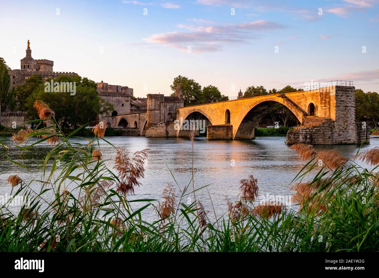Avignon Brücke/Pont Saint-Benezet und Rhone bei Sonnenaufgang, Avignon, Provence, Frankreich, Europa Stockfoto