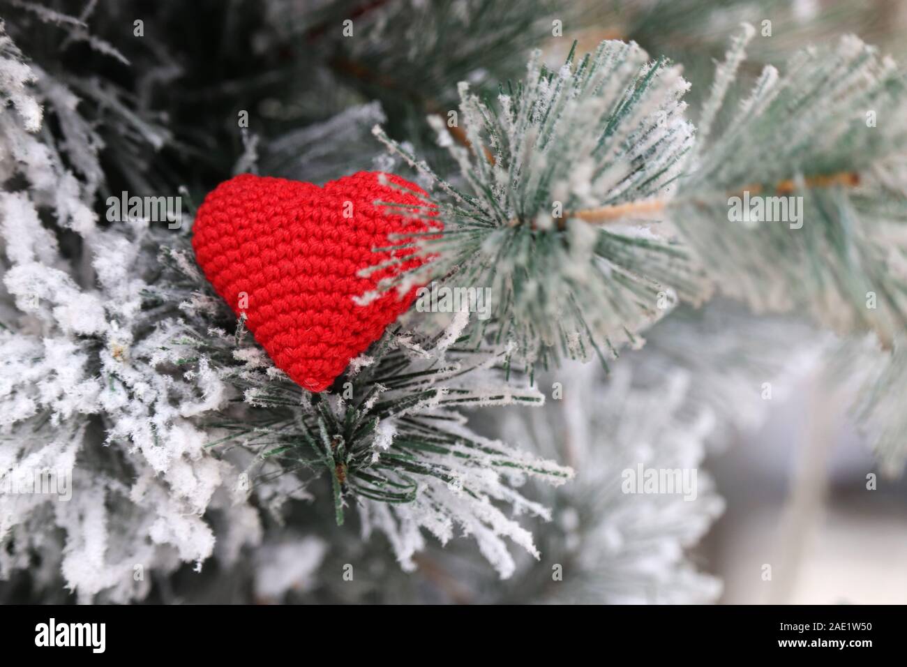 Weihnachten Herz, Rot gestrickt, Symbol der Liebe im Schnee auf  tannenzweigen. Hintergrund für romantische Karte, Silvester feiern,  Valentinstag oder Winter Stockfotografie - Alamy