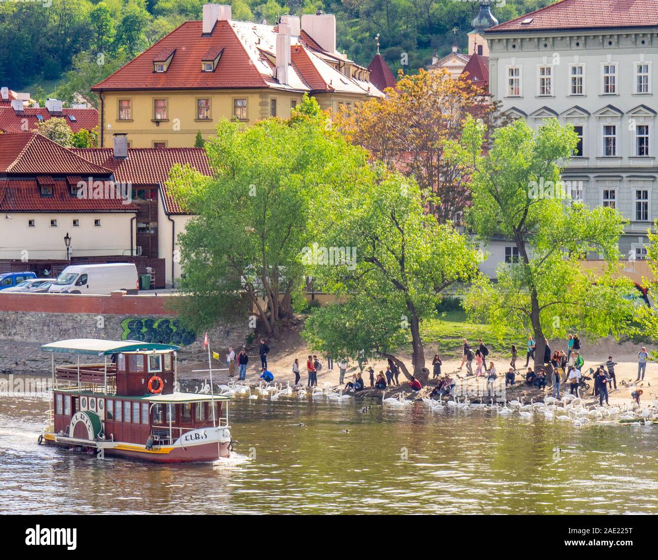 Holzraddampfer die Elbis auf der Moldau Prag Tschechische Republik Stockfoto