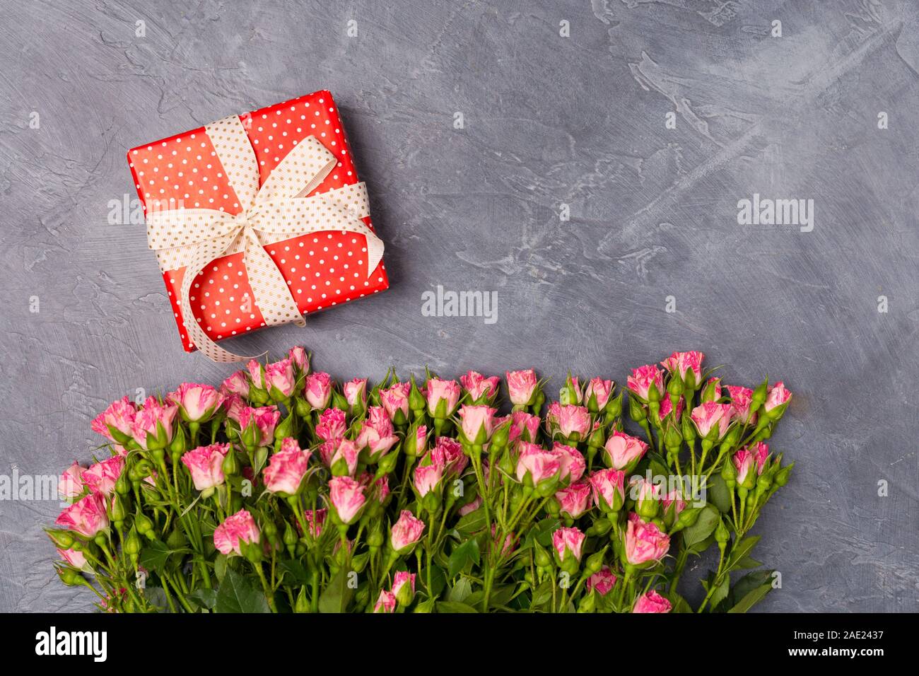 Rosa spray Rosen, Geschenk in der Red Box auf grauem Hintergrund. Der Frau des Tages Mutter Valentinstag Konzept kopieren Raum Stockfoto