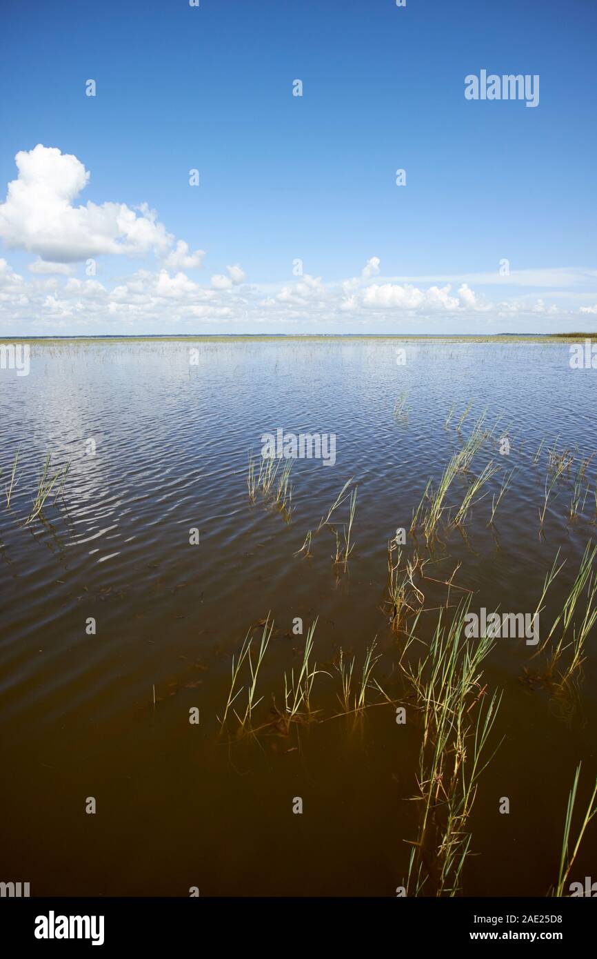 Lake Tohopekaliga central florida usa Stockfoto