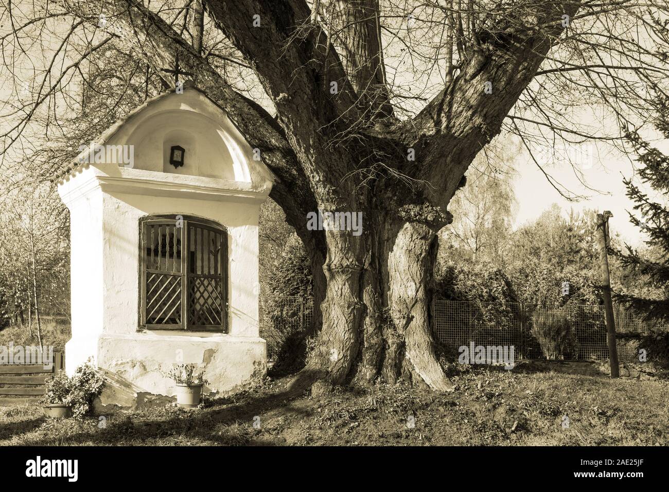 Vintage überdachten Spalte Bildstock. Alten Baum. Sepia getont Hintergrund. Kleine christliche Kapelle, Fenster und Nische. Ruhige ländliche Szene. Stockfoto