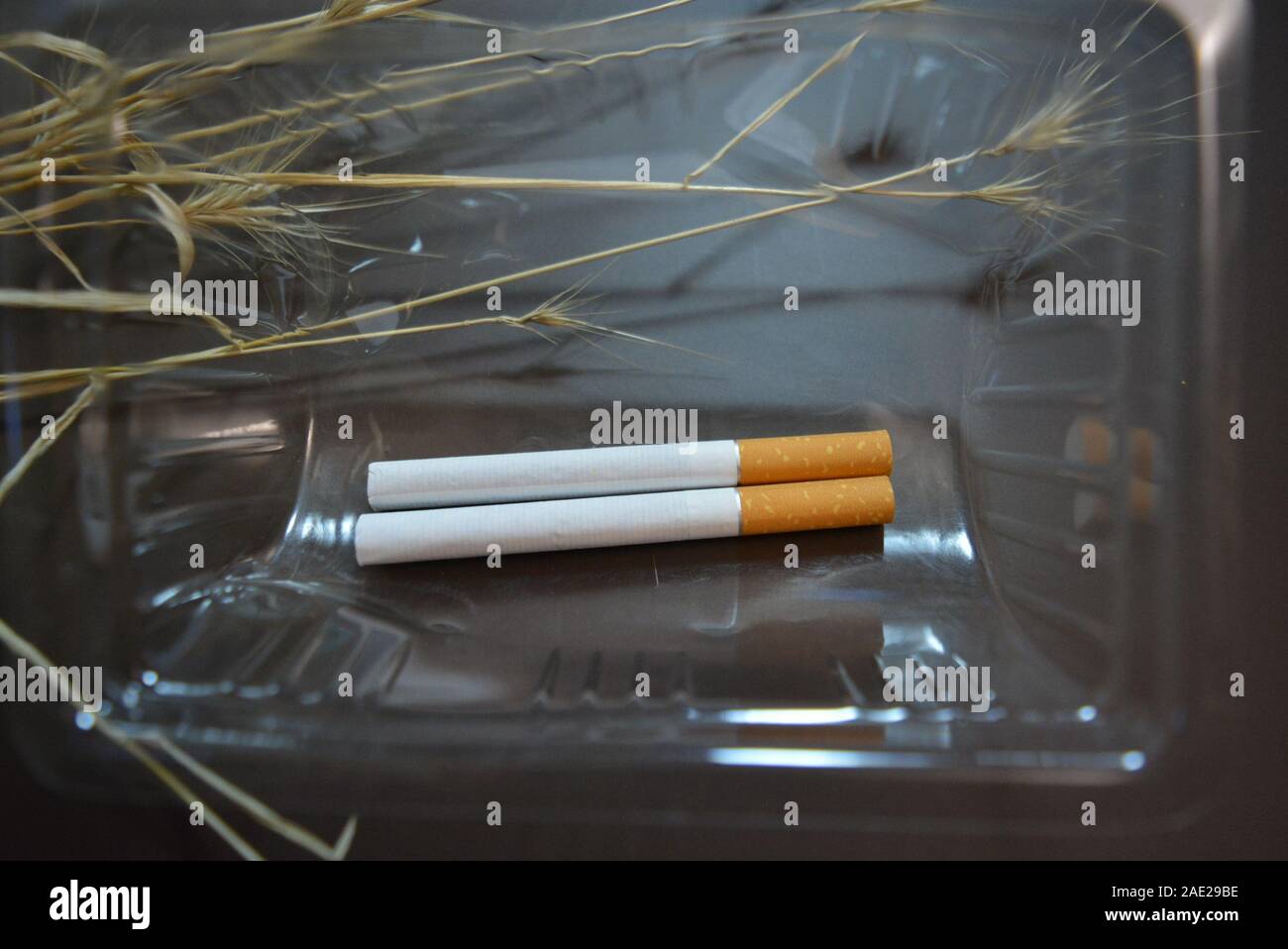 Zwei Zigaretten liegen in Kunststoffverpackungen. Stockfoto