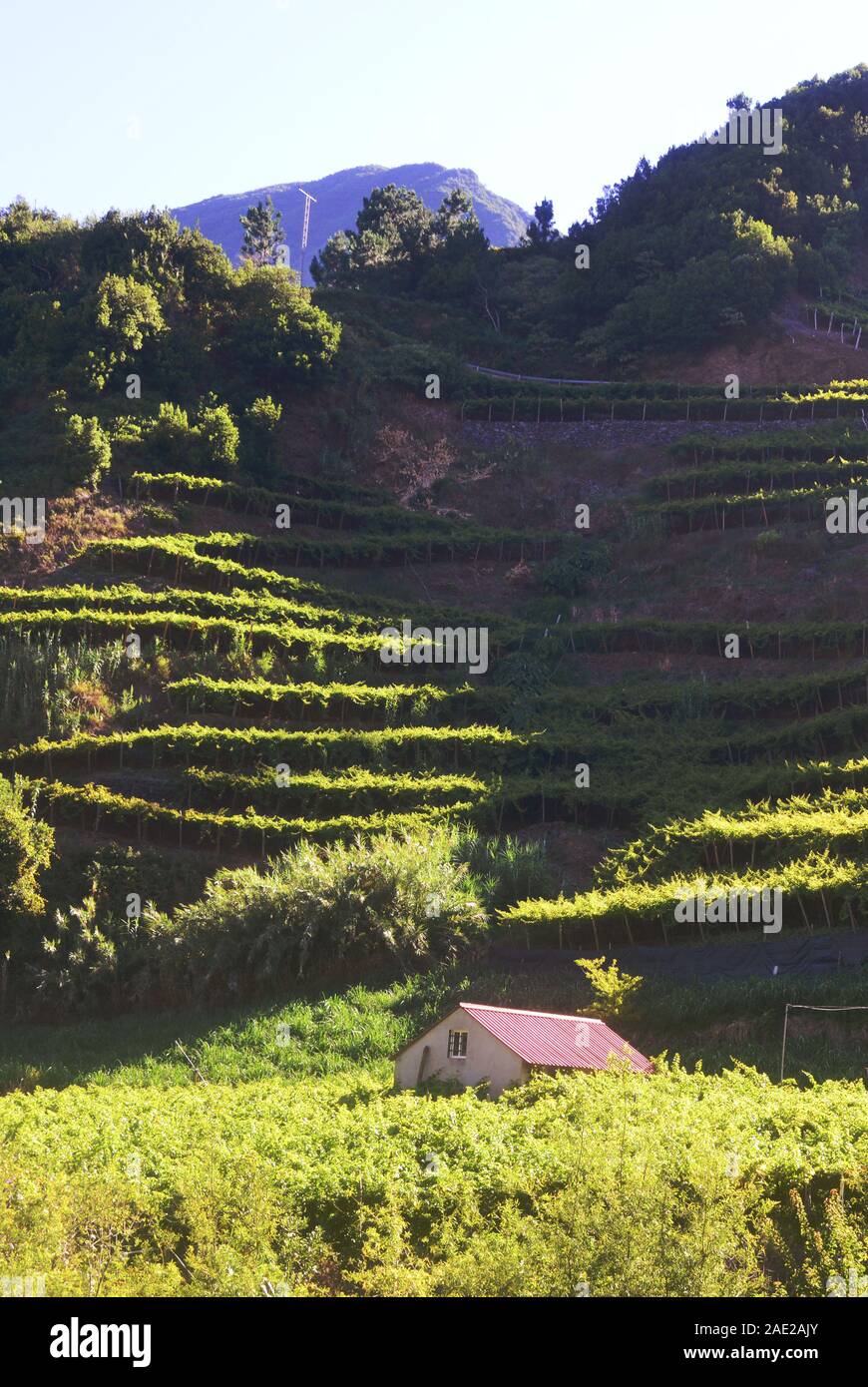 Haus in Madeira Portugal Stockfoto