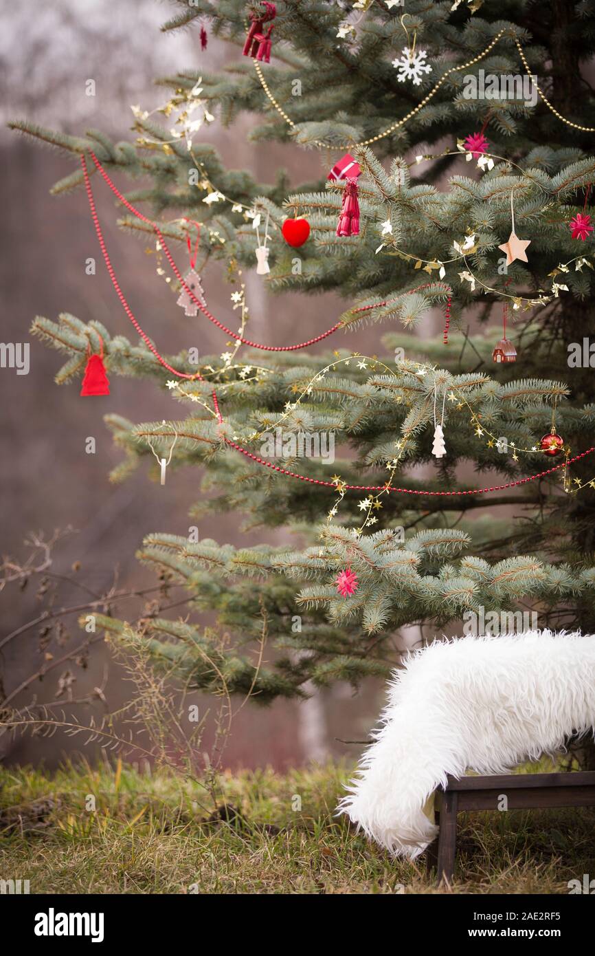 Schönen immergrünen Baum. Im Freien. Weihnachten Dekorationen und Jahreszeit Urlaub Stockfoto