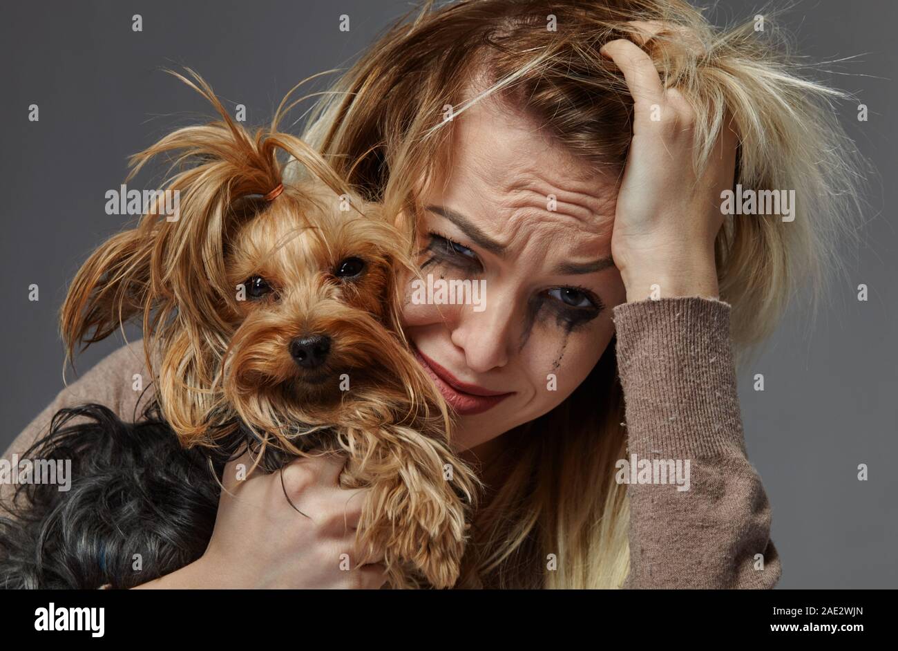 Frau mit Hund, die unter Stress leiden Stockfoto