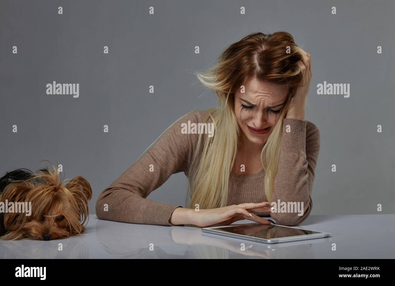 Frau mit Hund, die unter Stress leiden Stockfoto