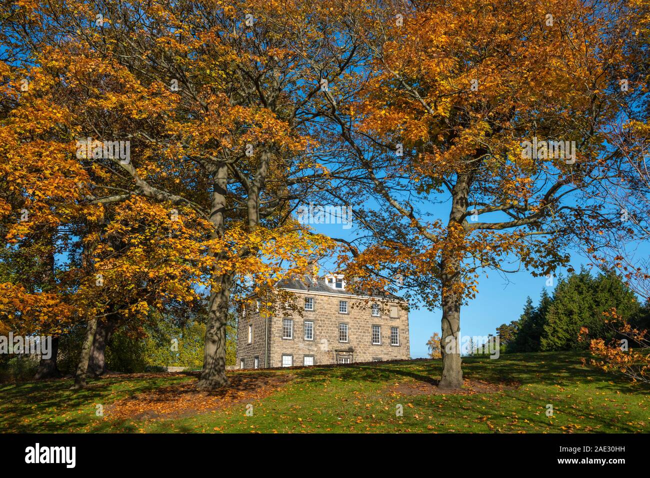 Inverleith House Royal Botanic Garden, Edinburgh, Schottland, Großbritannien Stockfoto