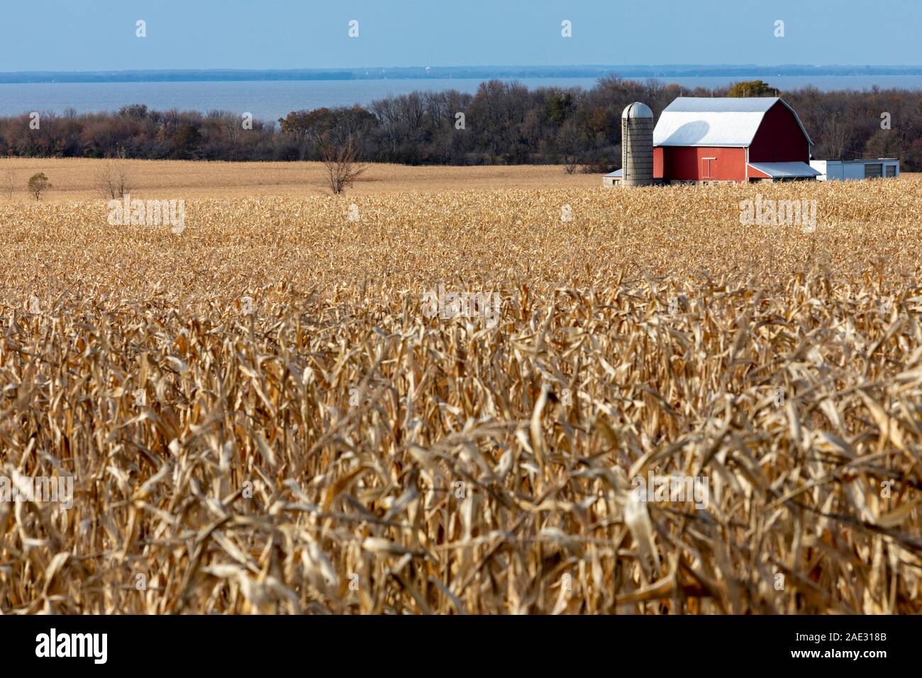 Quinney, Wisconsin - eine Farm am Ufer des Lake Winnebago. Stockfoto
