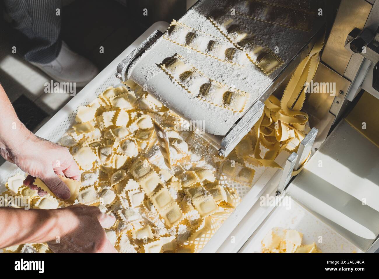Herstellung von Ravioli, Tortellini und Cappelletti, typisch italienischen frische Pasta - den Koch folgt die Herstellung von Ravioli aus der Maschine Stockfoto