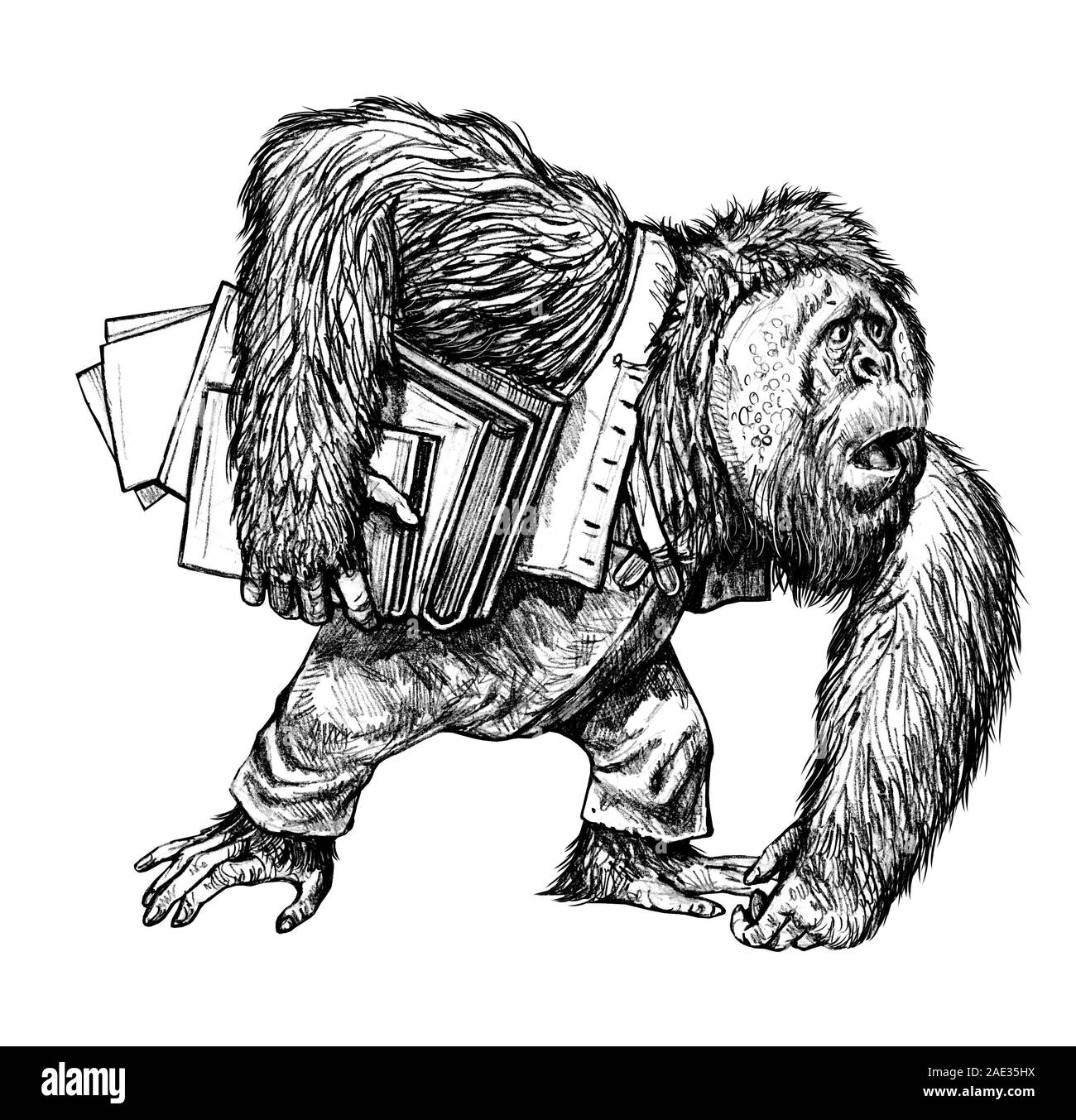 Lustige Zeichnung mit Orang-utan. Ein grosser Affe mit Büchern. Stockfoto Lustige Zeichnung mit Orang-utan. Ein grosser Affe mit Büchern. Stockfoto