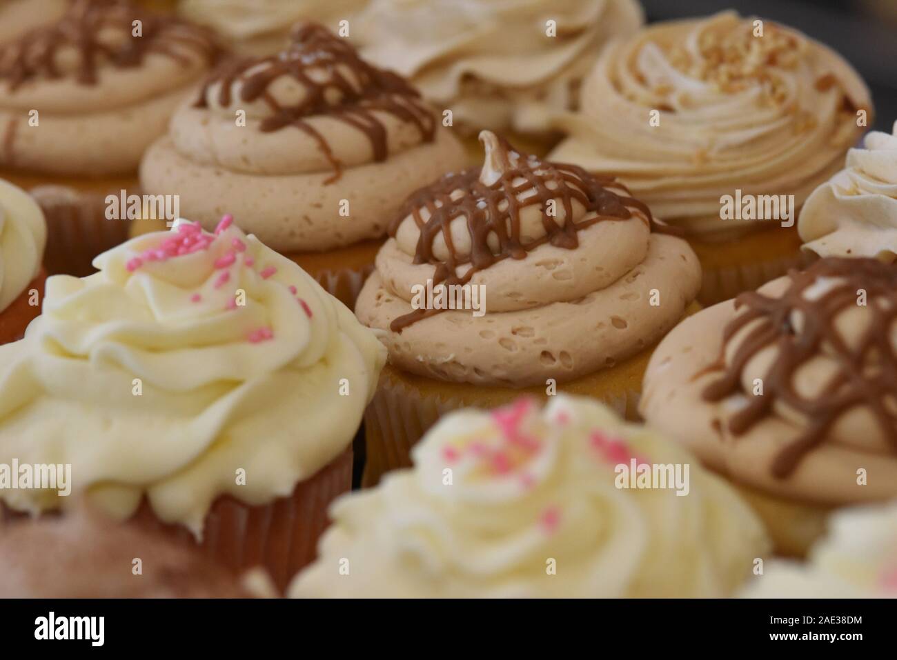 Sortiert Cupcakes mit Glasur und Dekorationen auf Anzeige an Bäckerei Stockfoto