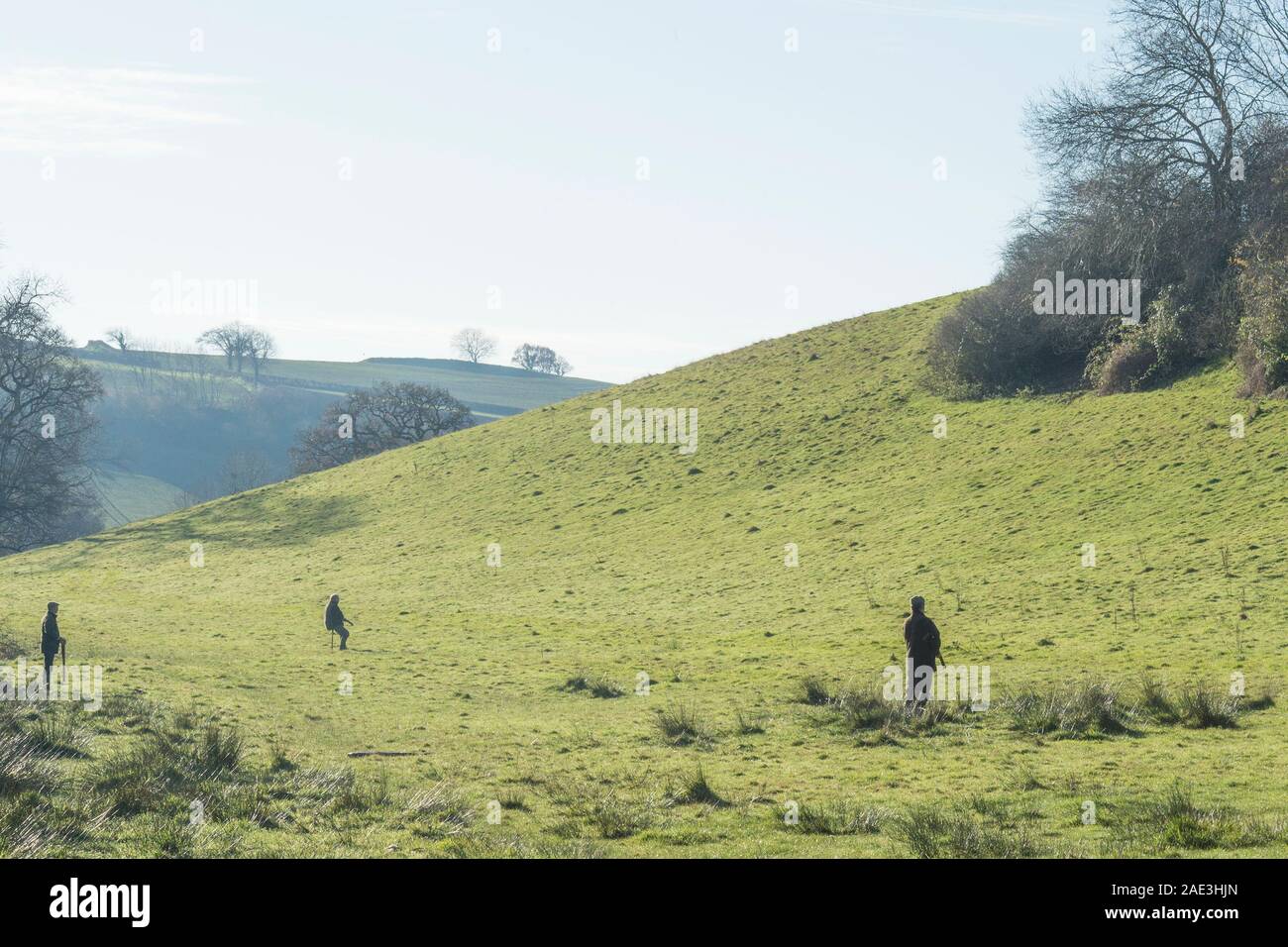 Schießen Fasane in Großbritannien Stockfoto