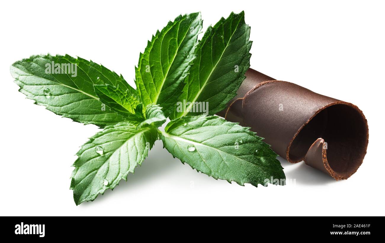 Minze mit Schokolade gewellt Rasieren, isoliert Stockfoto