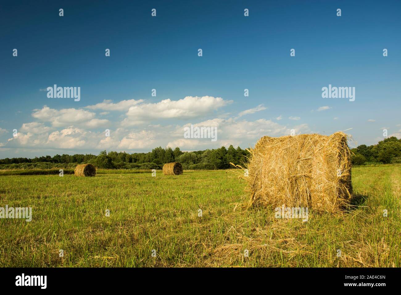 Heuballen auf der Wiese Stockfoto
