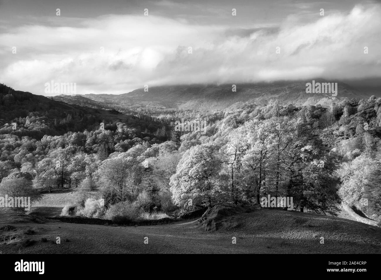 Schönen Herbst Landschaft von Wäldern im frühen Morgenlicht über englische Landschaft Stockfoto