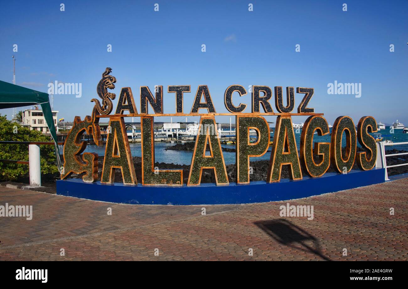 Isla Santa Cruz, Galapagos, Ecuador Stockfoto