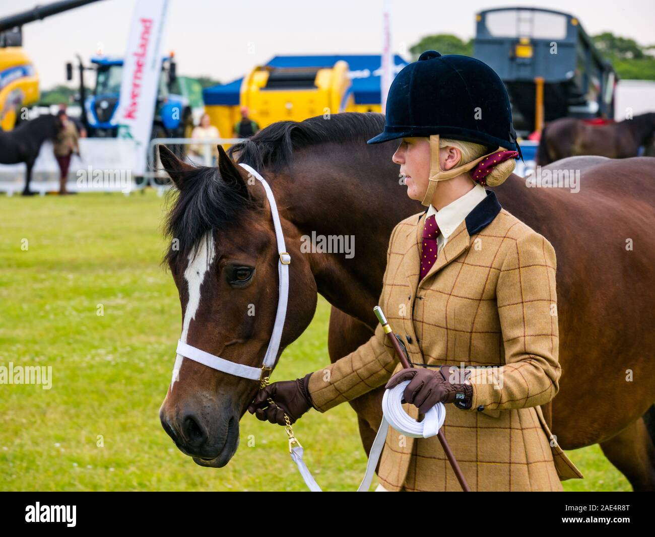 Junge Frau führenden Pferd an Urteilen, Haddington Landwirtschaft zeigen, East Lothian, Schottland, Großbritannien Stockfoto