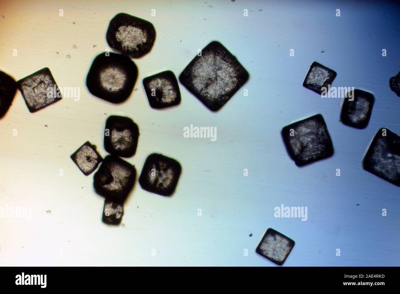 Salz - vom Ozean, Meersalz, Mineral, Natrium, Chlorid, NaCl, chemische, Verbindung, Stockfoto