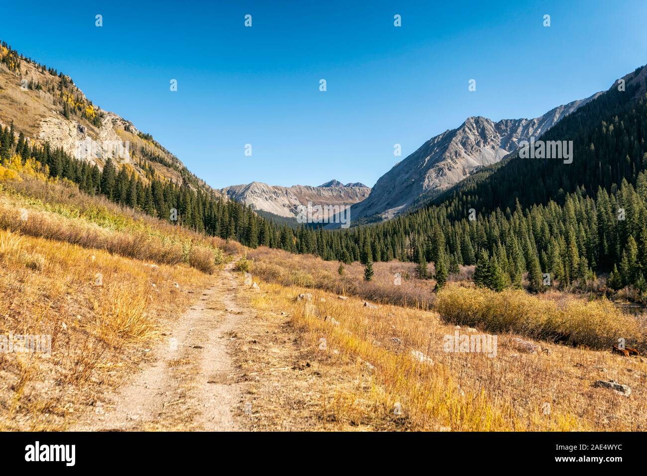 Herbst Landschaften in den kastanienbraunen Bells-Snowmass Wildnis Stockfoto