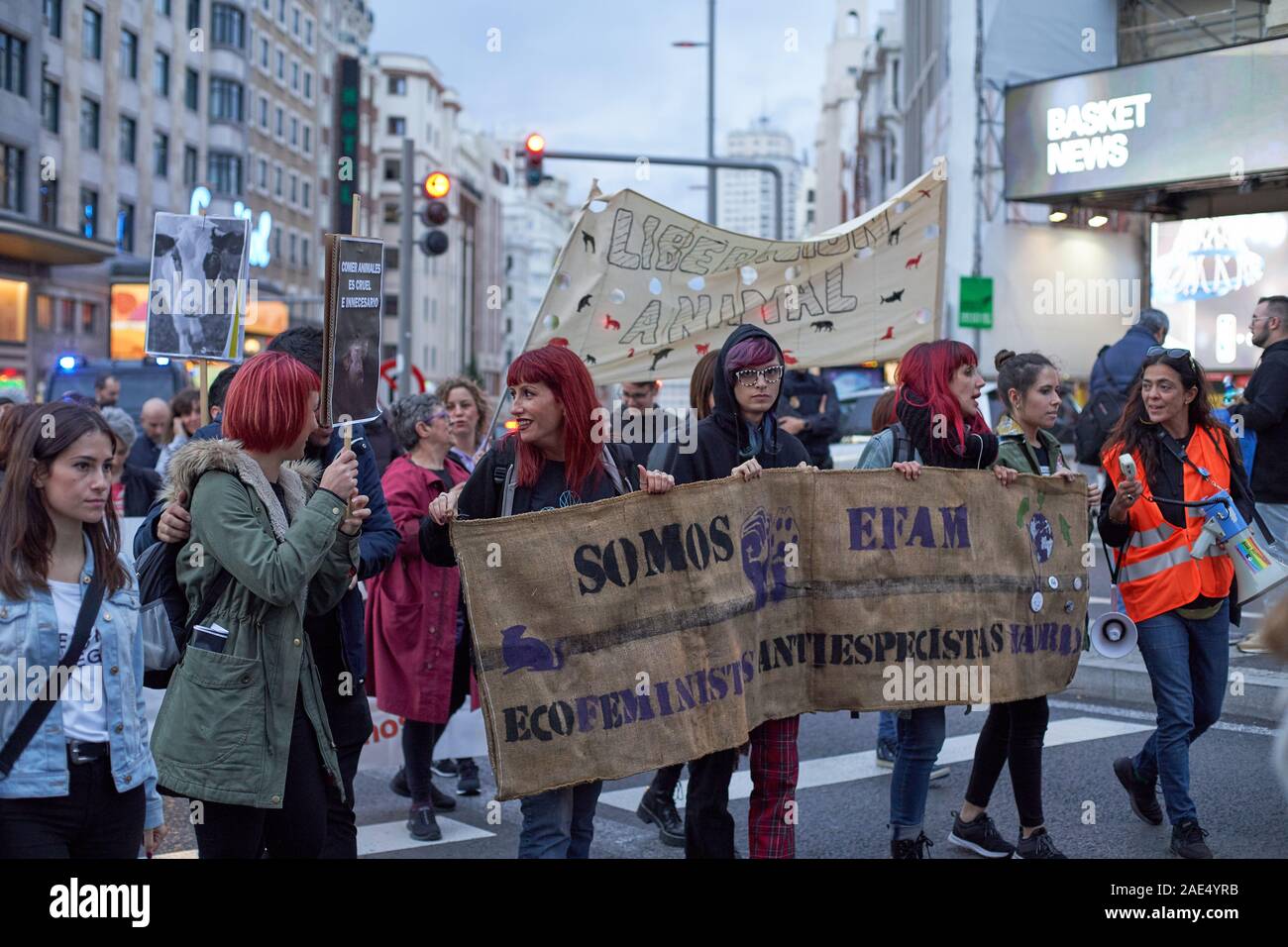 Eine Gruppe von feministischen Tierschutz Demonstranten trägt ein Banner entlang der Gran Via, Madrid. Stockfoto