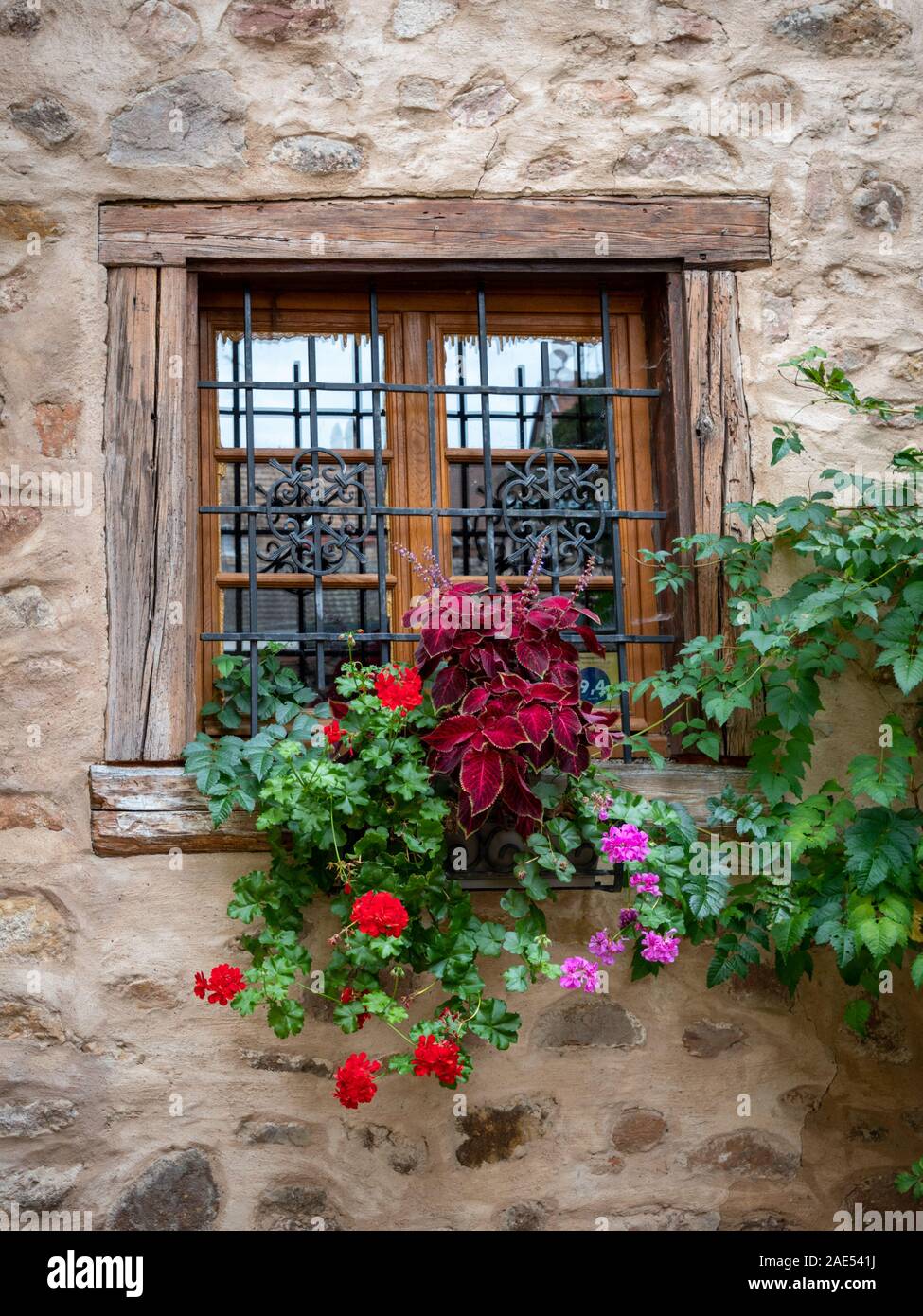 Mittelalterliches Fenster Blumenschau Stockfoto