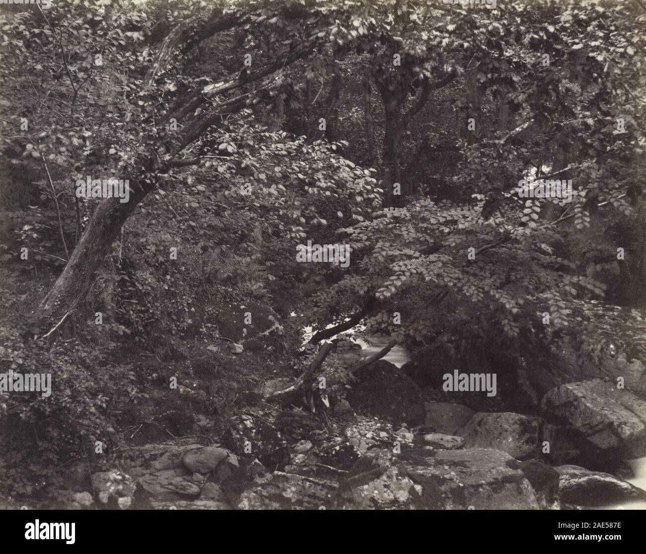 Dieses Foto von Francis Bedford, datiert in die 1860er Jahre, zeigt den glen in Lynmouth. Das Bild erfasst die natürliche Landschaft, Topographie, Wasserläufe und Vegetation des Gebiets im England des 19. Jahrhunderts. Stockfoto