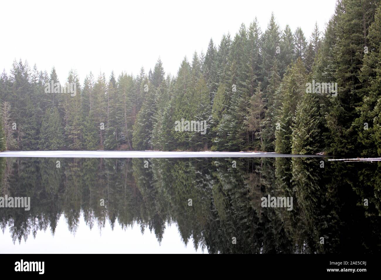 Edith See dunkelgrünen Nadelbäumen in ein wenig Schnee bedeckt, auf der ruhigen und friedlichen kalten Winter Wasser widerspiegeln Stockfoto