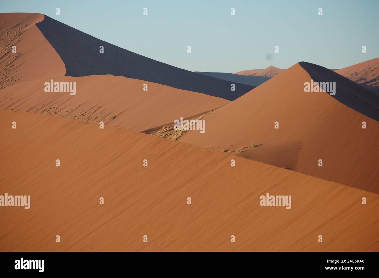 Wüste Namib: Majestic Sanddünen Stockfoto