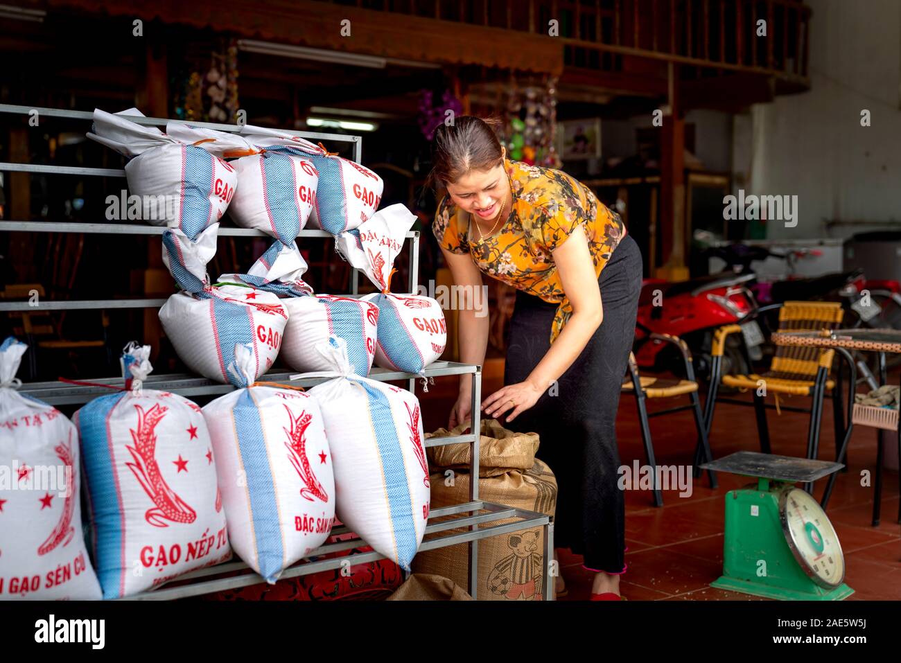 Tu Le, Mu Cang Chai, Yen Bai Provinz, Vietnam - am 18. September 2019: eine ethnische Frau bereitet neue Reis zum Verkauf. Die frisch geernteten Reis ist immer Stockfoto