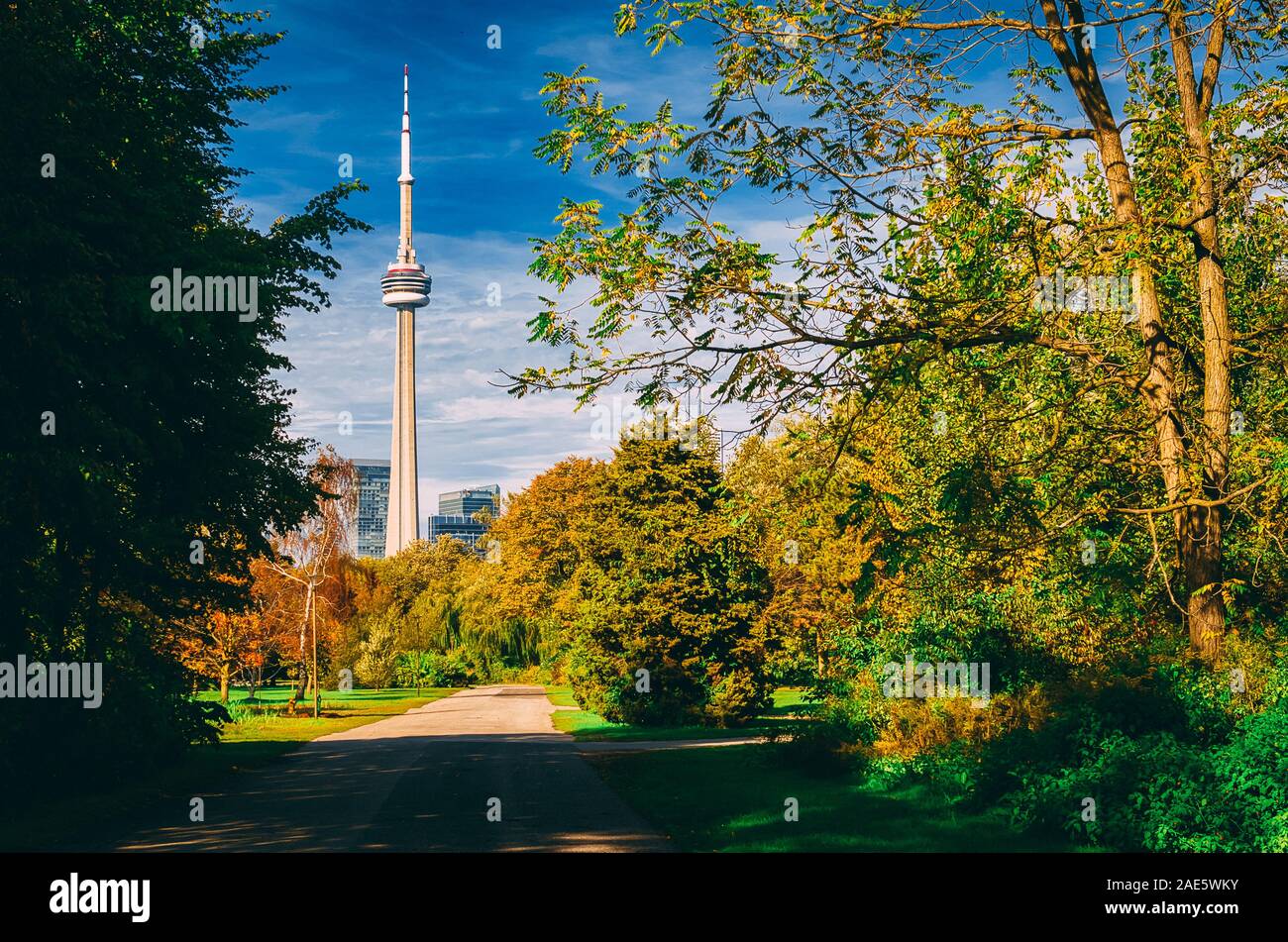 Toronto CN Tower durch Bäume von Torontos Stadtzentrum Insel gesehen Stockfoto