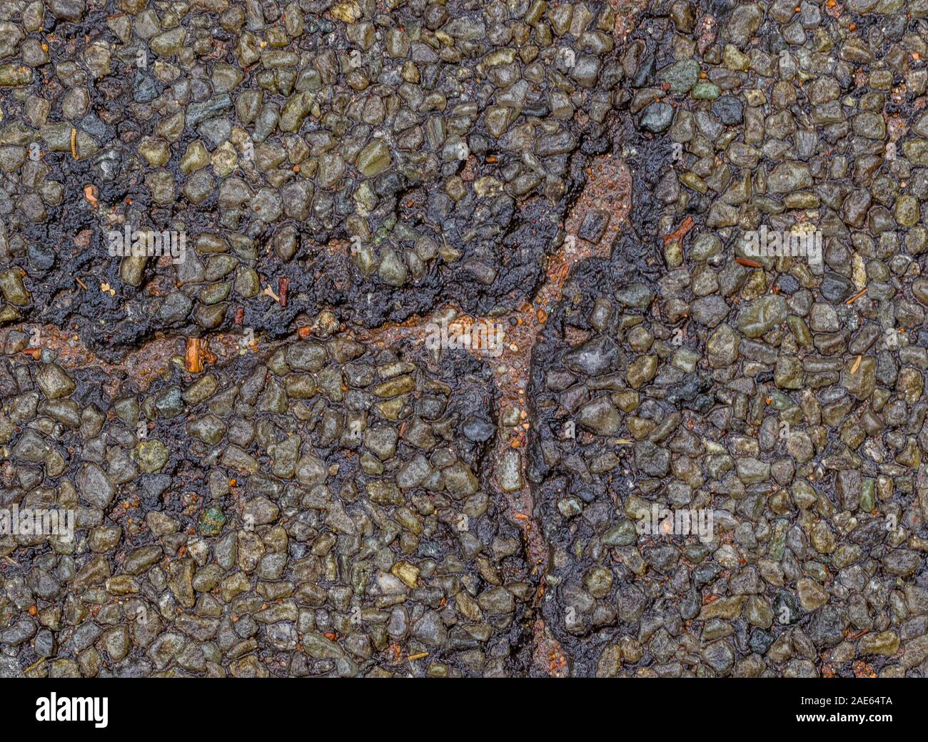 Nahaufnahme eines Risses in einem feuchten geteerte Fahrbahn Bild für den Hintergrund verwenden mit Kopie Raum Stockfoto