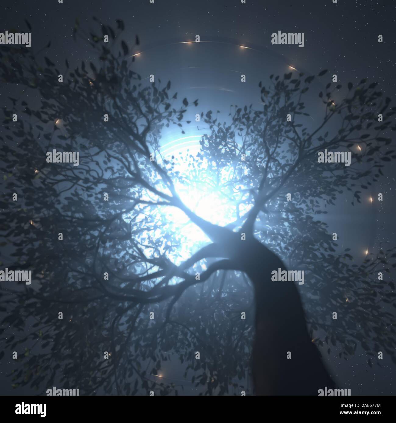 Unbekanntes Flugobjekt - UFO, fliegt über die Bäume. Konzept der Entführung durch Außerirdische. Stockfoto