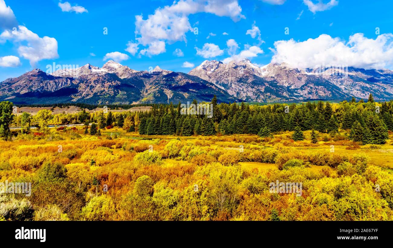 Herbst Farben umgibt, und die Wolke bedeckte Gipfel der Grand Tetons in Grand Tetons National Park. Von Schwarz mit Blick auf die Teiche in der Nähe von Jackson Hole WY gesehen Stockfoto