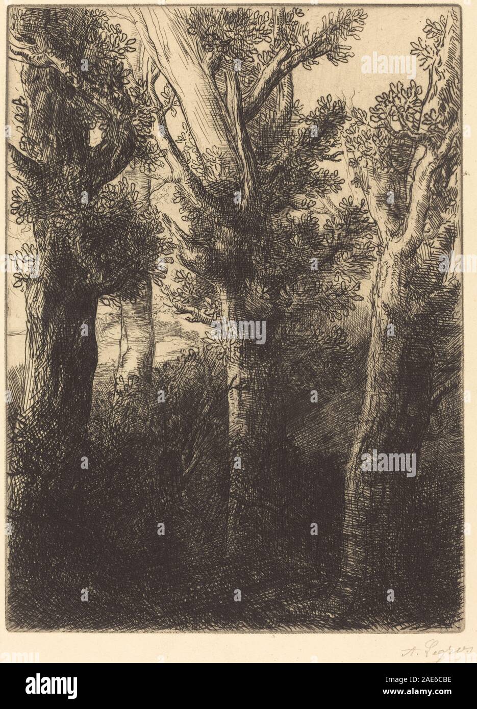 Deutscher Wald, Downley Alphonse Legros, Deutscher Wald, Downley Stockfoto