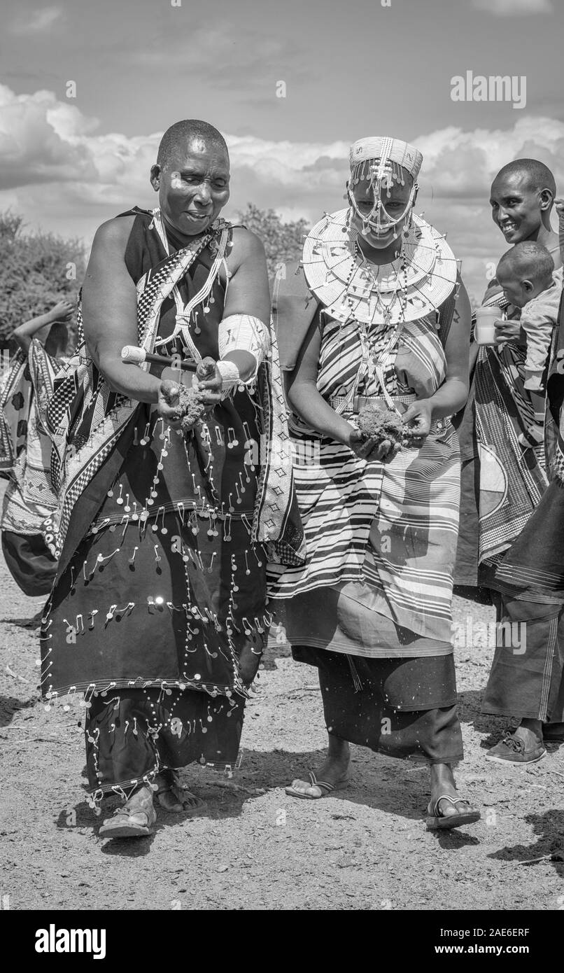 Gleichen, Tansania, 6. Juni, 2019: Masai Damen sammeln frischer Kuhdung, um Ihr Haus zu reparieren Stockfoto