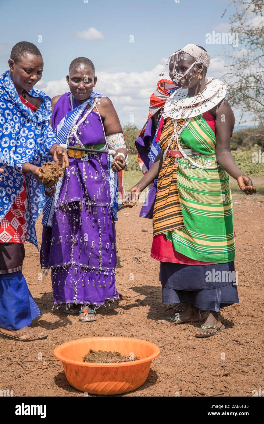 Gleichen, Tansania, 6. Juni, 2019: Masai Damen sammeln frischer Kuhdung, um Ihr Haus zu reparieren Stockfoto