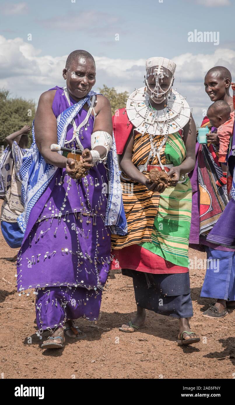 Gleichen, Tansania, 6. Juni, 2019: Masai Damen sammeln frischer Kuhdung, um Ihr Haus zu reparieren Stockfoto