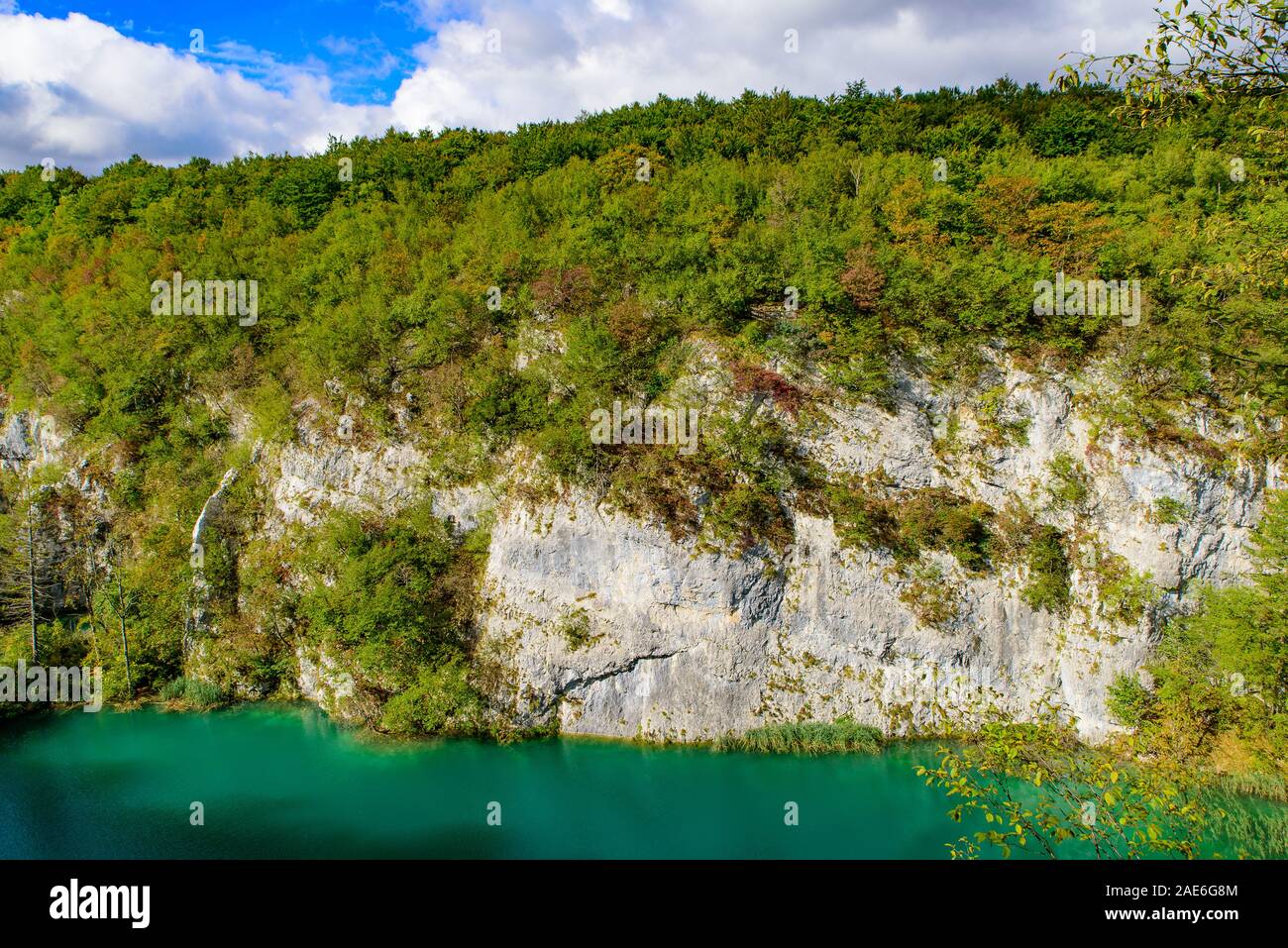 Nationalpark Plitvicer Seen (Plitvička Jezera) mit türkisfarbenen See, Kroatien Stockfoto